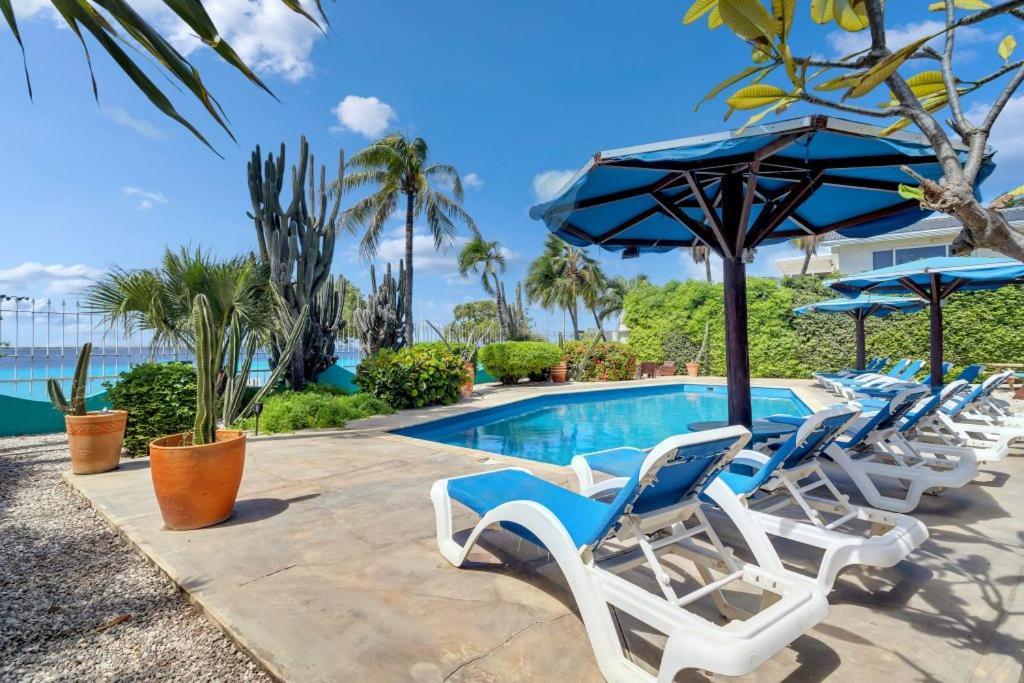 Bonaire Oceanfront Apartments クラレンダイク エクステリア 写真